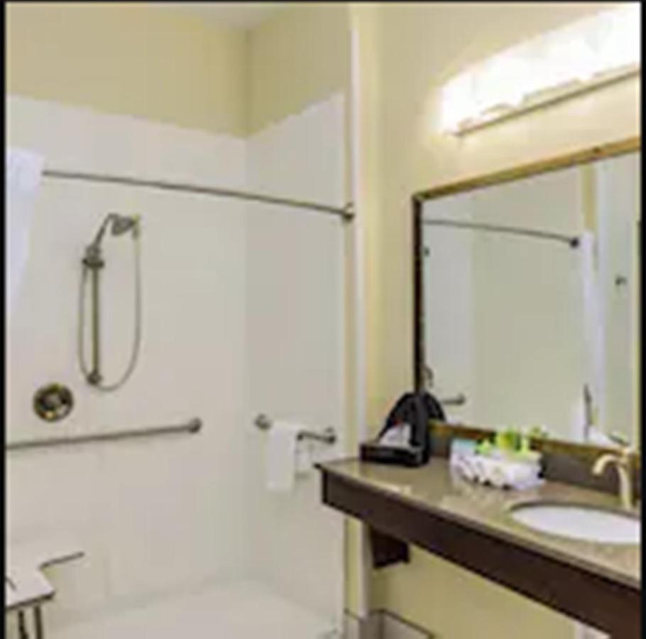 Holiday Inn Express & Suites Cheektowaga North East By Ihg Dış mekan fotoğraf